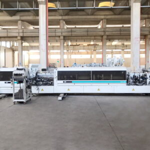 IDM (SCM Group) Activa SB/1 (9900)